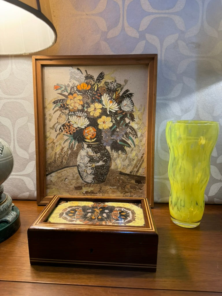 Vintage Wood Box with Butterfly Wing Still-Life Collage under glass