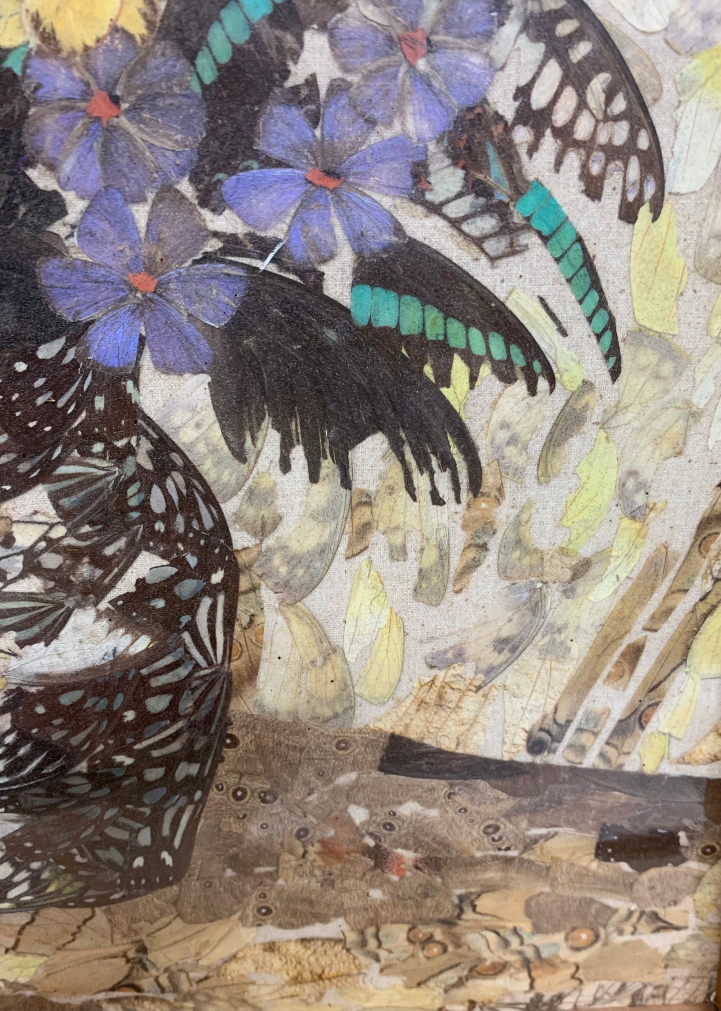 Art Work Vintage Framed Butterfly Wings Flowers in a Vase Still-Life