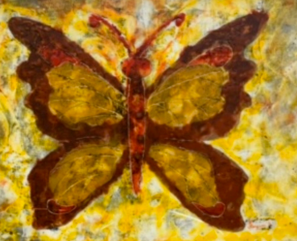 Art Work Vintage Butterfly Encaustic Wax Framed Art